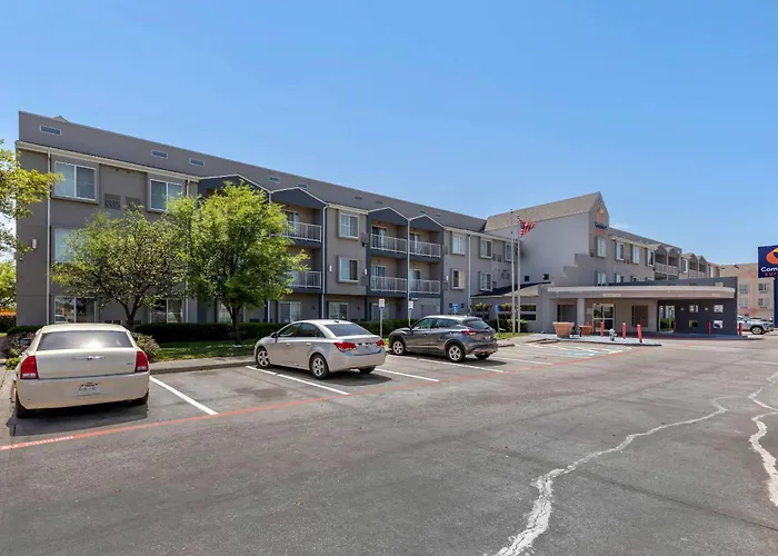 Comfort Suites Dfw Airport Irving